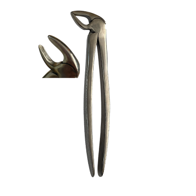 Щ-177 Stomatological forceps №33